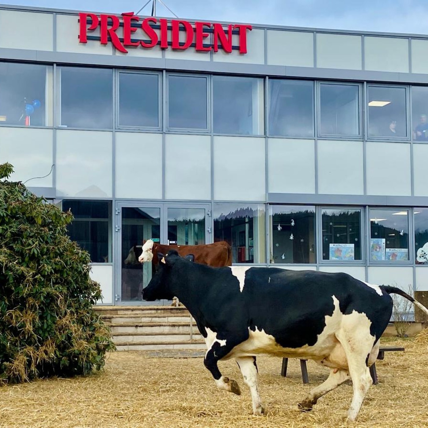 Les agriculteurs vosgiens mobilisés contre la baisse des prix du lait