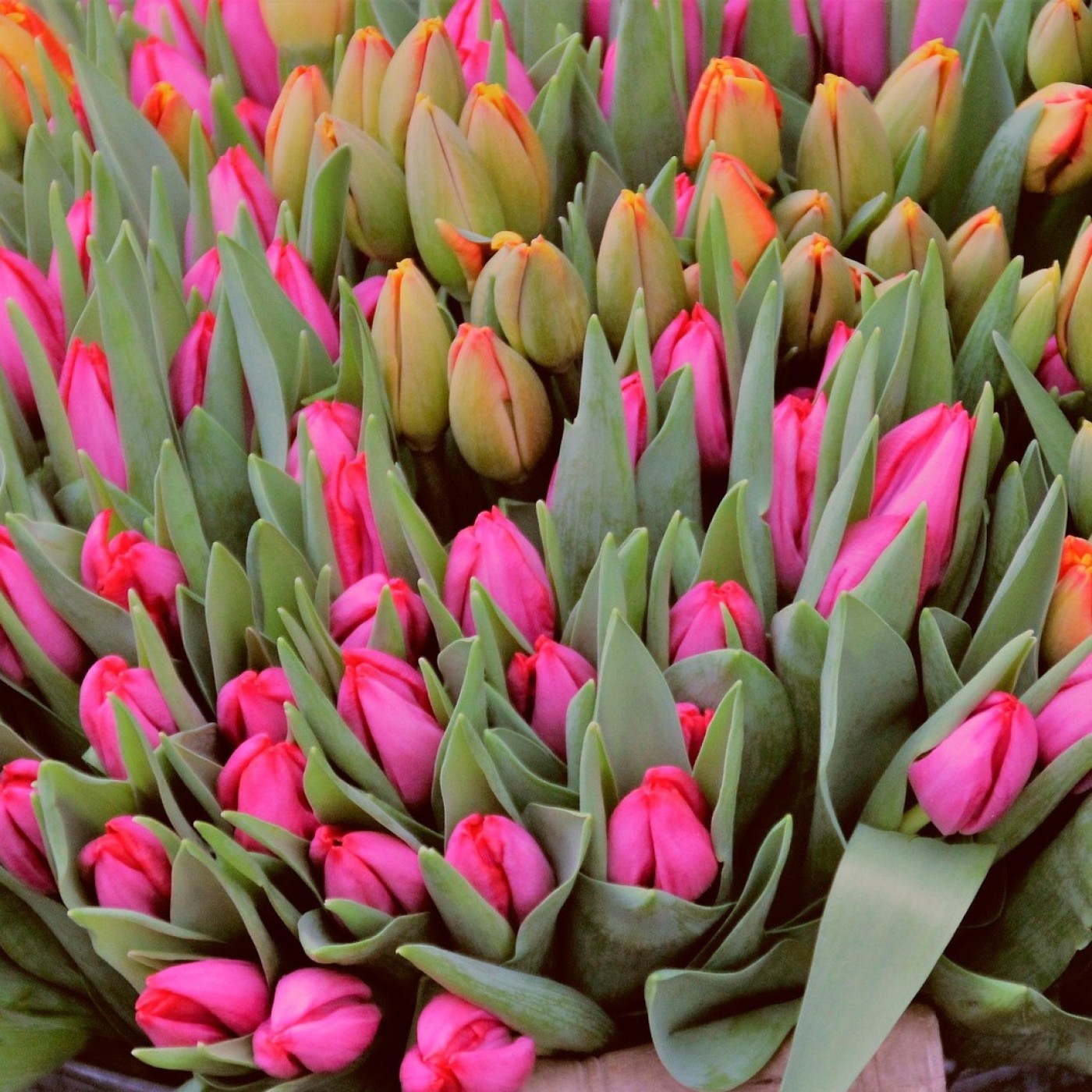 Golbey lance un appel aux exposants pour son marché aux fleurs