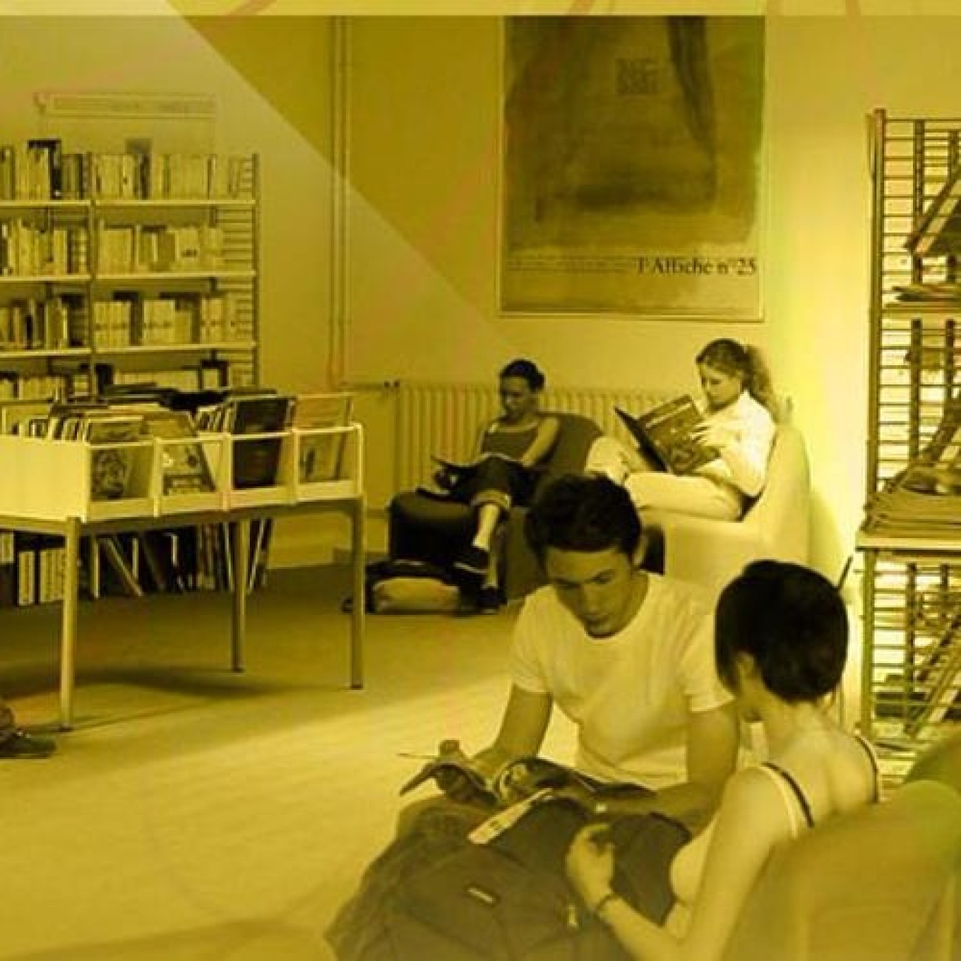 La lecture, un enjeu majeur en milieu rural. La réponse du Département des Vosges