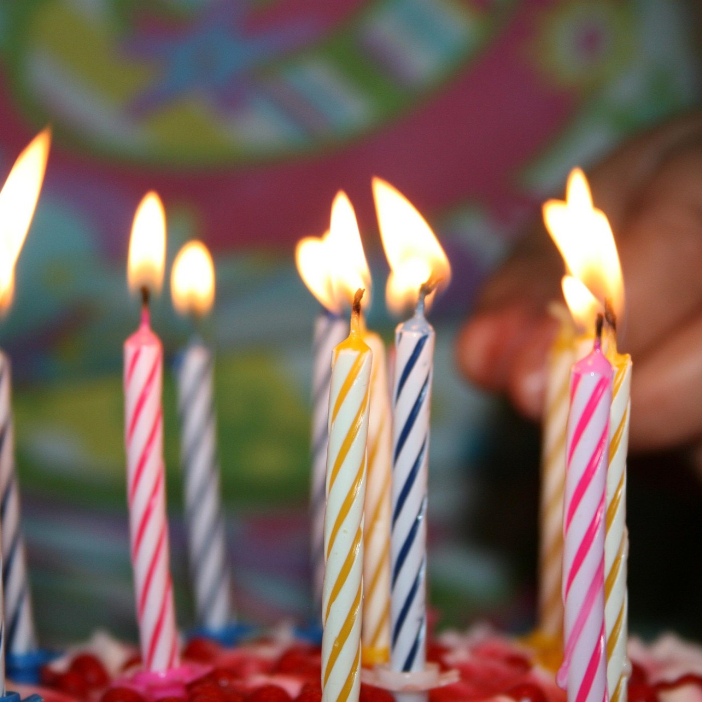 La FBTP 88 fête ses 125 ans cette année.