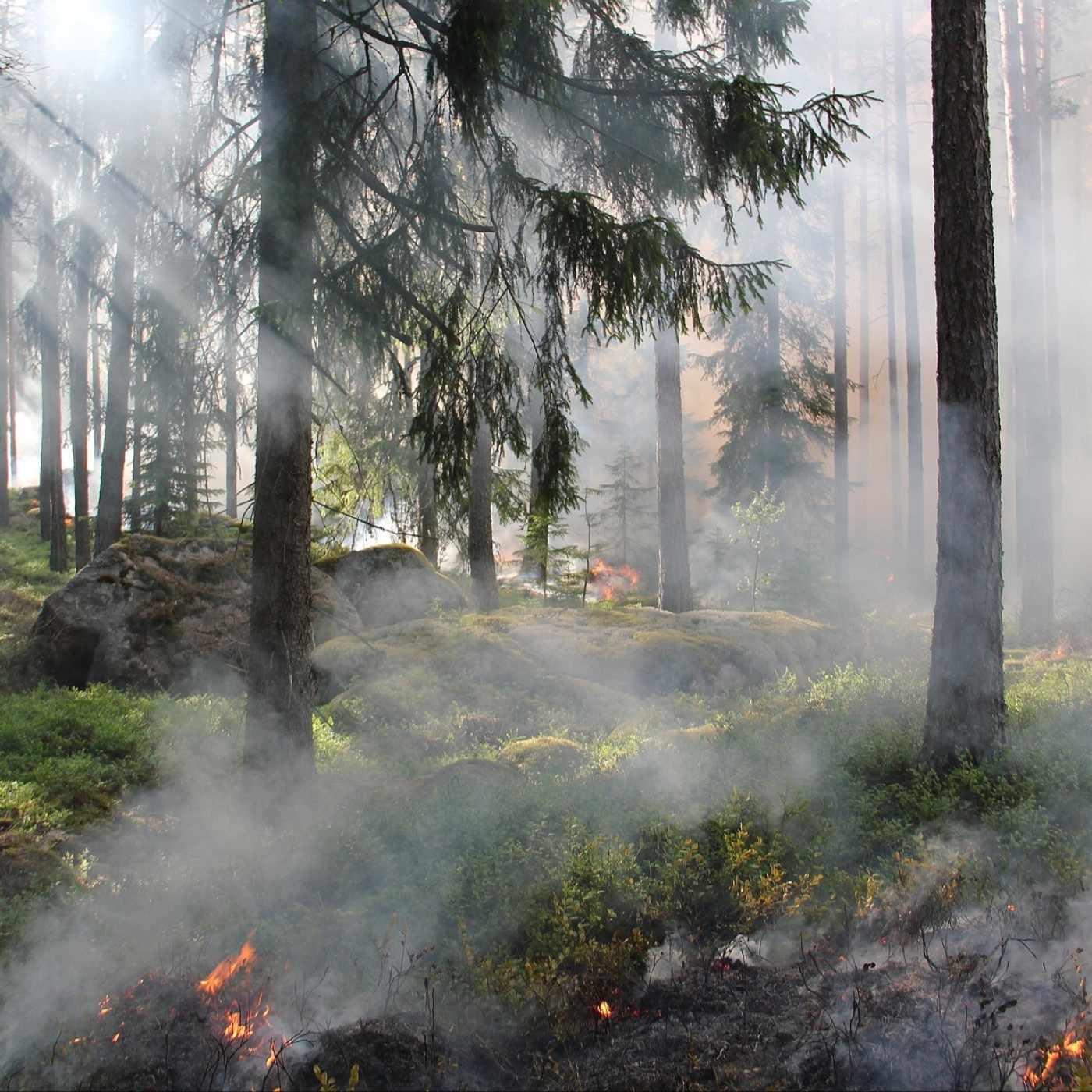 Granges-Aumontzey renforce sa vigilance face aux feux de forêt